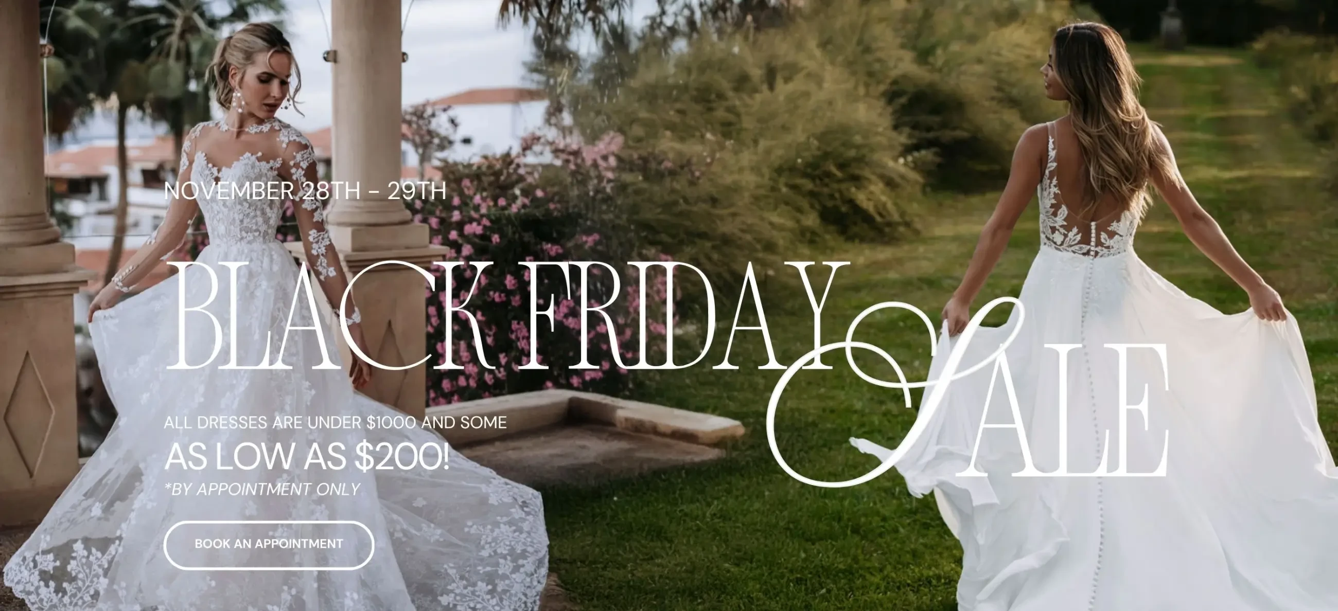 Limestone & Lace Black Friday Sale Desktop